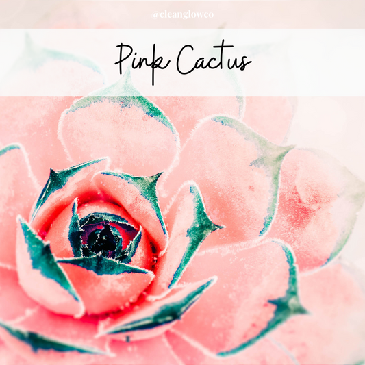 Pink Cactus Soy Wax Melt