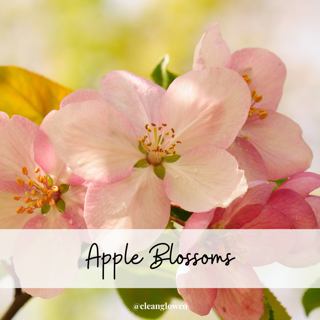 Apple Blossoms Foaming Sugar Scrub