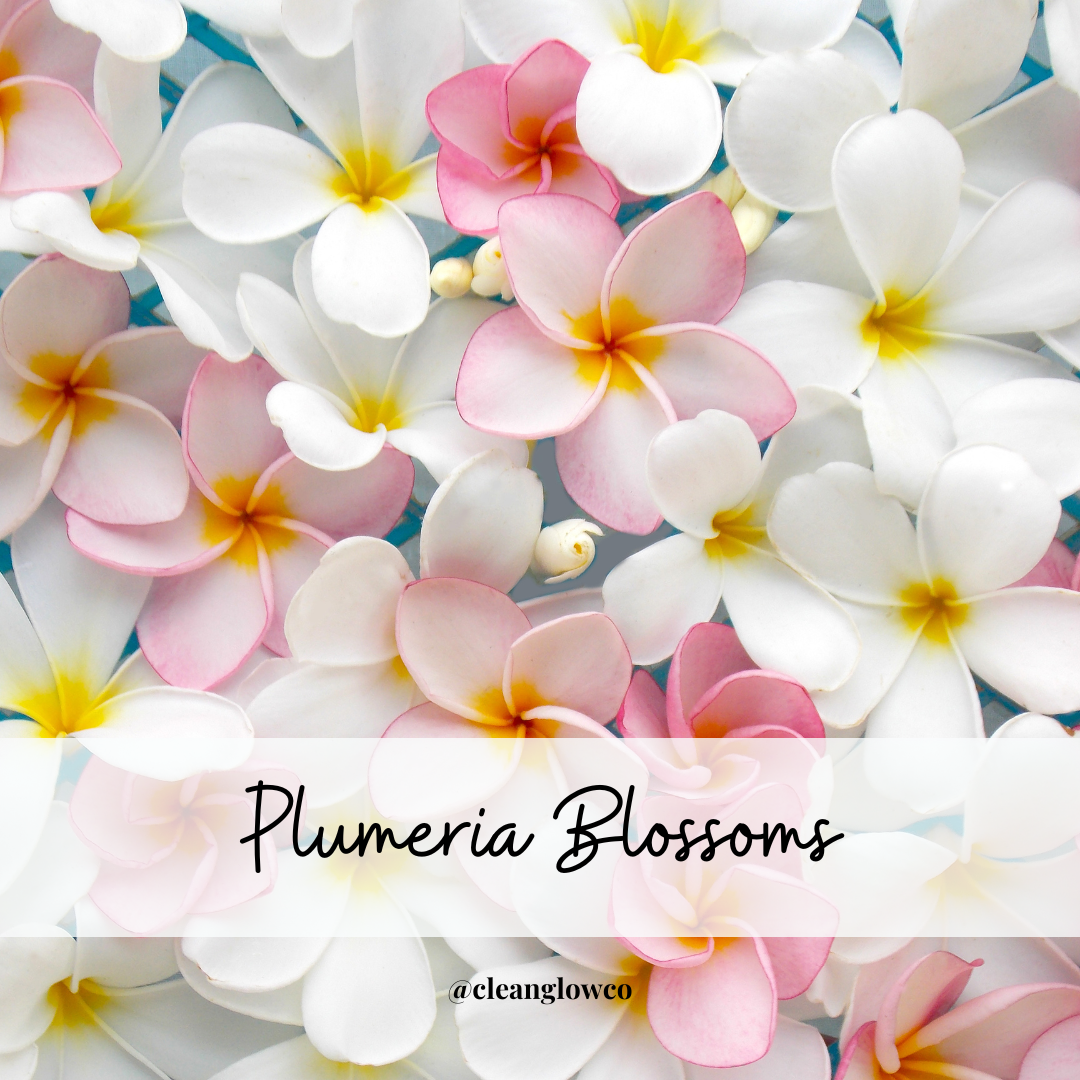 Plumeria Blossoms Soy Wax Melt